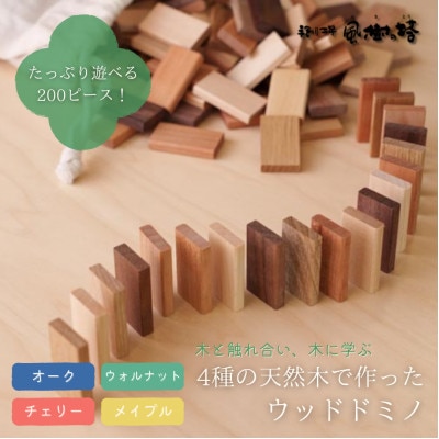 奈良市　手創り工房風樹の塔　ウッドドミノ　200ピース