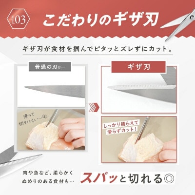 キッチンバサミ  分解式 はさみ ステンレス 食洗機対応