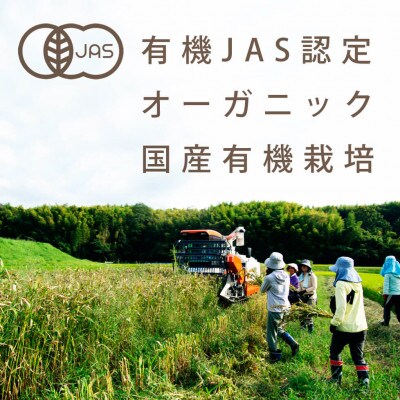活性はとむぎ美人茶 有機 60袋入り(有機JAS認定・ノンカフェイン)