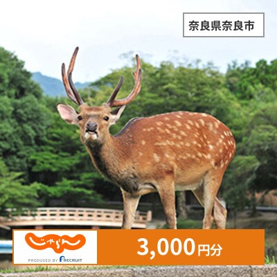 【じゃらんふるさと納税クーポン】 奈良県奈良市でつかえる3,000円 クーポン