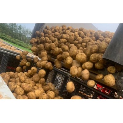 北海道産じゃがいも〈男爵〉10kg 山田農場[No.5225-0142]