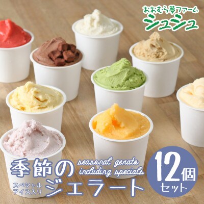 シュシュ 季節のジェラート12個セット