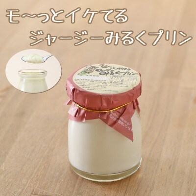 シュシュの3種のプリンセット