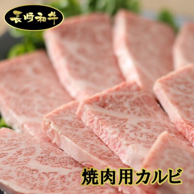 シュシュの長崎和牛　焼肉・スライスセット(モモ300g・カルビ300g・モモスライス860g)
