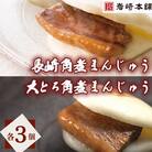 【毎月定期便】長崎自慢セット(長崎角煮まんじゅう3個・大とろ角煮まんじゅう3個)(大村市)全6回