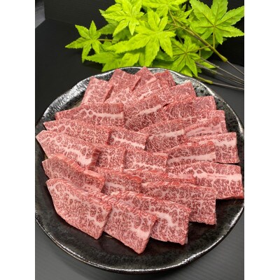 長崎県産長崎和牛カルビ焼き肉　400g