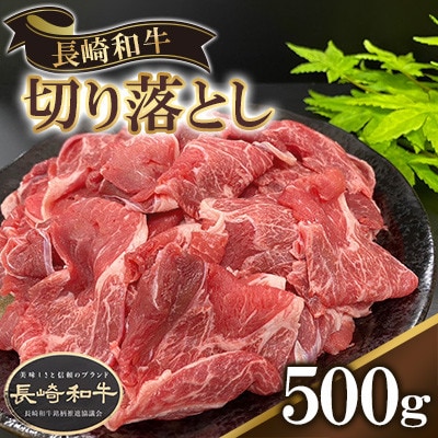 長崎県産長崎和牛切り落とし　500g