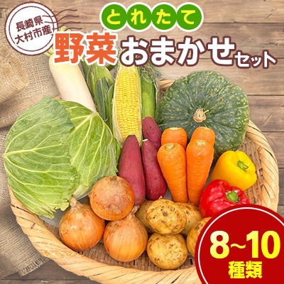大村産とれたて野菜おまかせセット(8～10種類)