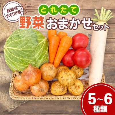 大村産とれたて野菜おまかせセット(5～6種類)
