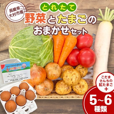 大村産とれたて野菜とたまごのおまかせセット(5～6種類+こだまさんちの紅たまご)