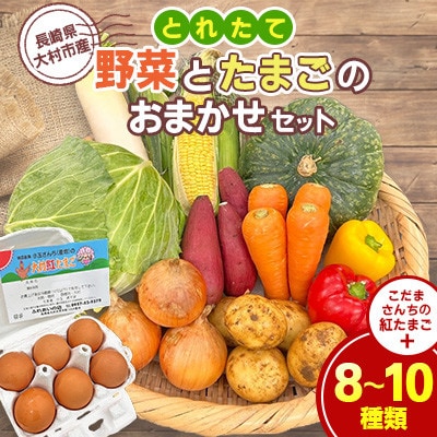 大村産とれたて野菜とたまごのおまかせセット(8～10種類+こだまさんちの紅たまご)