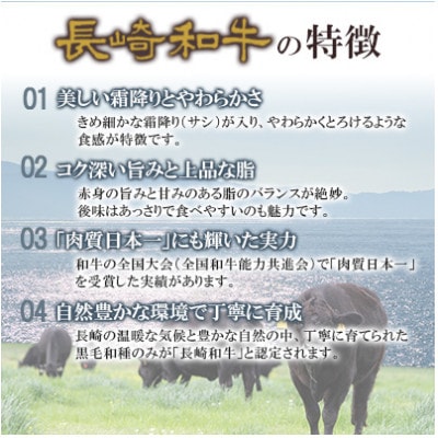 【毎月定期便】長崎和牛 シャトーブリアンステーキ 約450g(約150g×3枚)全3回