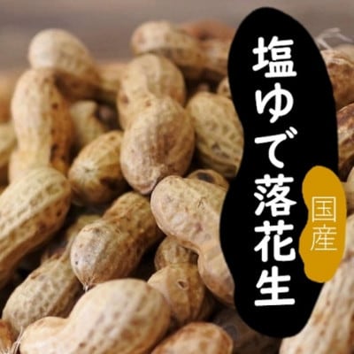 塩ゆで落花生 合計約1kg(約500g×2袋)
