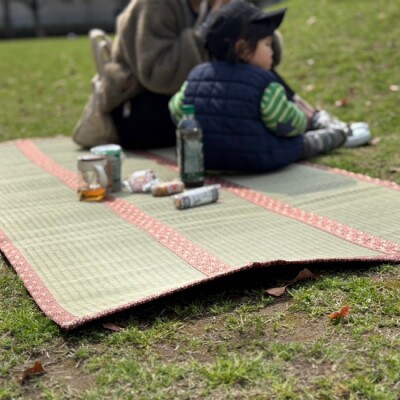 畳屋さんが作った!折りたためるゴザ天然い草コンパクト1800(おむらんちゃん縁)