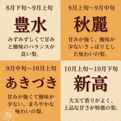 【産直松吉】　朝採り旬の梨 約5kg 12玉～15玉