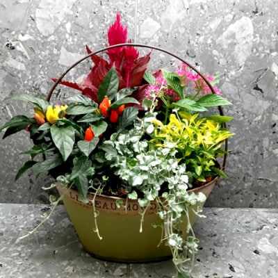 おまかせ季節の寄せ植えプランター