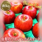 【2025年10月～11月発送分先行受付】山形のりんご(シナノスイート)約5kg_H076(R7)