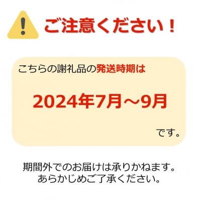 山形夏の漬物うす皮丸なす漬800g(160g×5袋)_E056(R6)