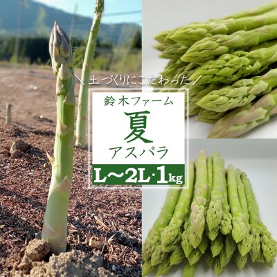 【R7年7月～9月発送分先行受付】鈴木・ファームの夏アスパラ(L～2Lサイズ・約1kg)_H117