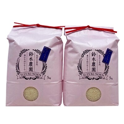 【定期便6ヶ月】【令和6年産新米】鈴木・ファーム「コシヒカリ」10kg×6ヶ月_A142