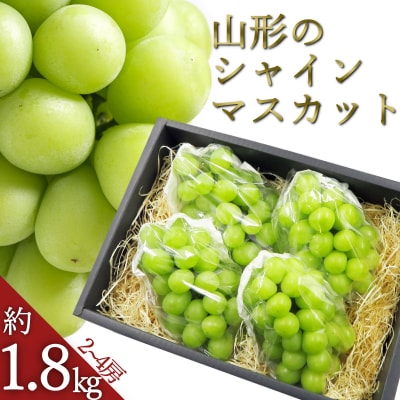 【R7年9～10月発送分先行受付】シャインマスカット約1.8kg(2～4房)_H132(R7)