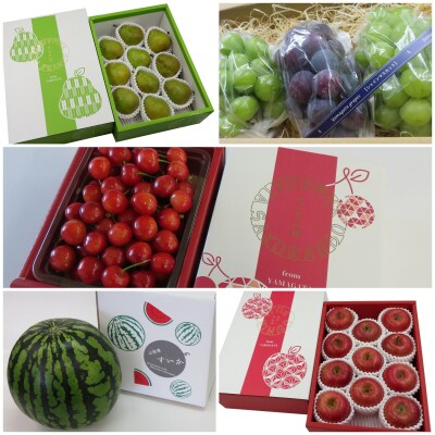【R7年6～12月分先行受付】果物定期便5回(さくらんぼ、すいか、ぶどう、りんごラフランス)H134