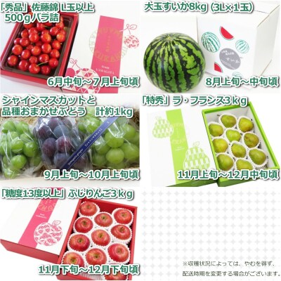 【R7年6～12月分先行受付】果物定期便5回(さくらんぼ、すいか、ぶどう、りんごラフランス)H134