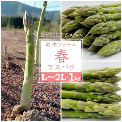 【2025年5月発送分先行受付】鈴木・ファームの春アスパラ(L～2Lサイズ・1kg)_H116