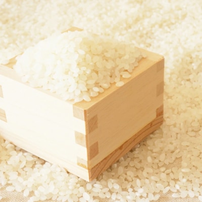 【定期便12ヶ月】【令和6年産新米】鈴木・ファーム「はえぬき」5kg×1袋×12ヶ月_A160