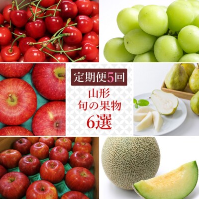 【R7年6～12月分先行受付】果物定期便5回(さくらんぼメロンシャインマスカットりんご洋梨)H148