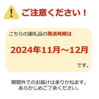 【R6年11月～12月先行受付】ご家庭用訳ありラフランス・サンふじセット約6kg_H197
