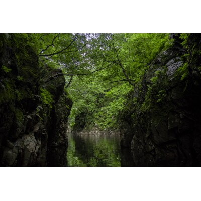 秘境三淵渓谷の天然純粋蜂蜜「夏のはちみつ」_E125