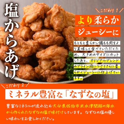 時短おかず 揚げるだけ やわらか!ジューシー!塩からあげ (計2kg・500g×4P)