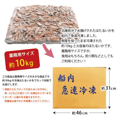 生ほたるいか 船内冷凍 ブロック 約10kg 07-102