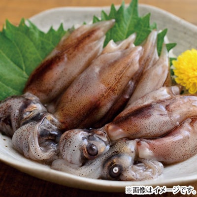 【訳あり】兵庫県香住産　生ほたるいか 1.5kg(250g×6パック) 07-02