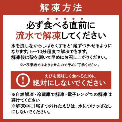 エビのお楽しみセット