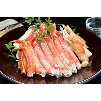松葉がに 釜茹で 冷凍 兵庫県香住産 約600～700g×1匹 【2025年11月中旬以降順次発送】