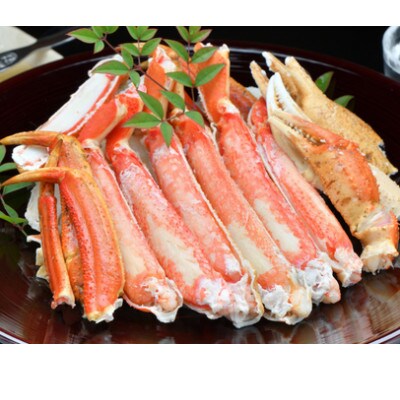 松葉がに 釜茹で 特選 冷凍 兵庫県香住産 約800～900g×1匹【2025年11月中旬以降発送】