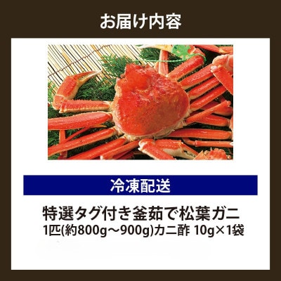 松葉がに 釜茹で 特選 冷凍 兵庫県香住産 約800～900g×1匹【2025年11月中旬以降発送】