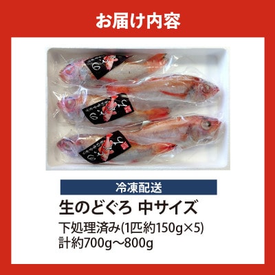調理済み 香住産のどぐろ中5尾(生・冷凍)【2025年9月以降順次発送】