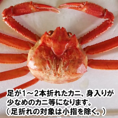 兵庫県香住産 訳あり 茹で 香住ガニ 約2kg(4～8匹)冷凍