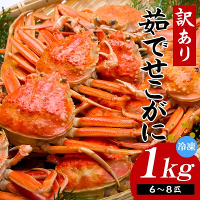 (先行予約) 兵庫県香住産 訳あり 茹で せこがに 1kg 冷凍 (令和8年11月中旬以降発送予定)