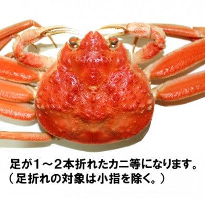 (先行予約) 兵庫県香住産 訳あり 茹で せこがに 1kg 冷凍 (令和8年11月中旬以降発送予定)