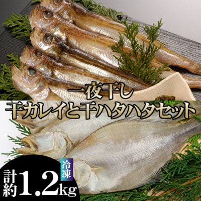 干カレイ・干ハタハタセット