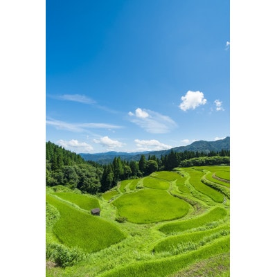 香美町 宿泊補助券 30000円分 有効2年間 25-07
