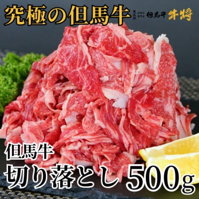 兵庫県産但馬牛切落し500g
