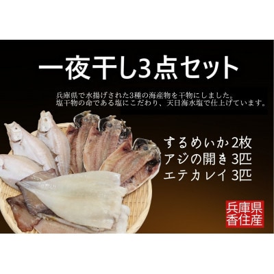 一夜干し3点セット