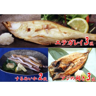 一夜干し3点セット