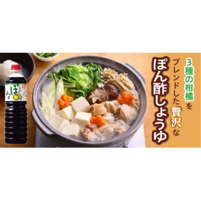 【トキワ Dセット】 1L×3本 　16-13