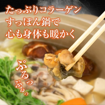 【すっぽん 鍋セット　(すっぽん切り身入り)調理済 冷凍】